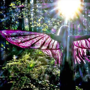 Meet your Posher, Cheri